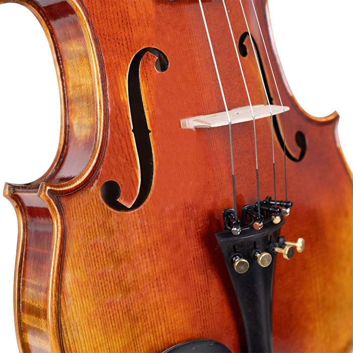 ANTON BRUCKNER MAESTRO X-ELITE II Keman (Thomastik Telli - Yay ve Taşıma Çantası Dahil)